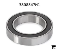 AGCO 3808847M1 Шариковый подшипник трансмиссии