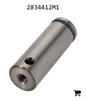 AGCO 2834412M1 Ось